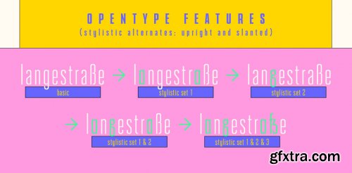 Corso Complete Family