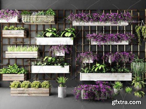 Plants collection 95