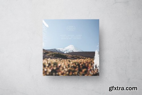 CreativeMarket - Vinyl Record Mockup 4865346