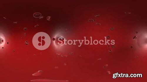 Videoblocks - 4K VR 360 View of Camera Swimming or Flying inside Human Body along with Red Blood Cells | Footages