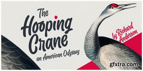 Slacker Font Family Slacker Font Family