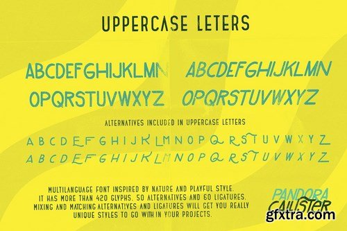 CM - Pandora Callister Font 4791379 CM - Pandora Callister Font 4791379