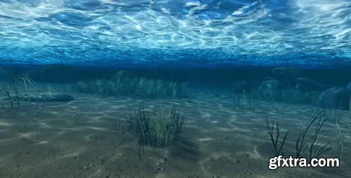 image_preview image_preview