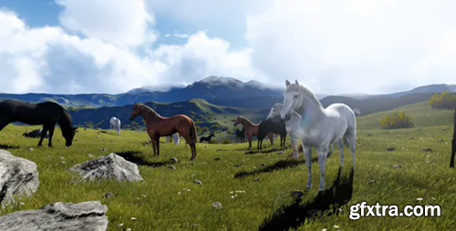 image_preview image_preview