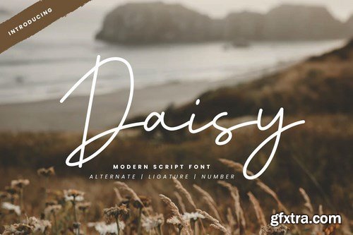 Daisy - Modern Script Font