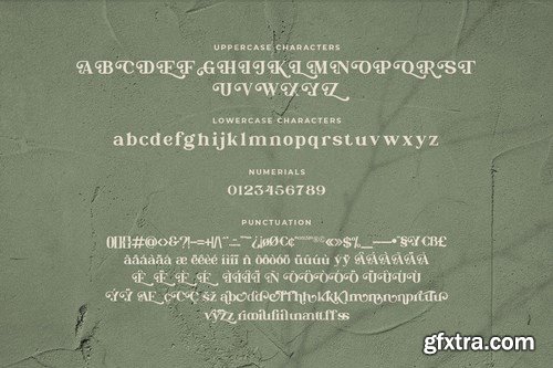 Christopher Wells - Elegant Serif Font