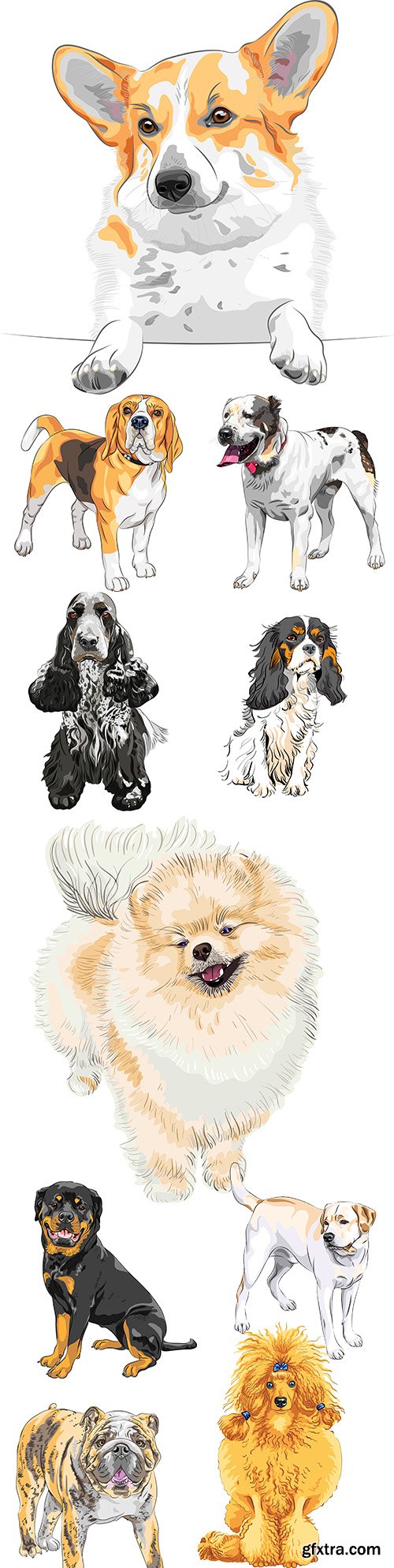 Sketch dog different breed and colour collection illustrations
