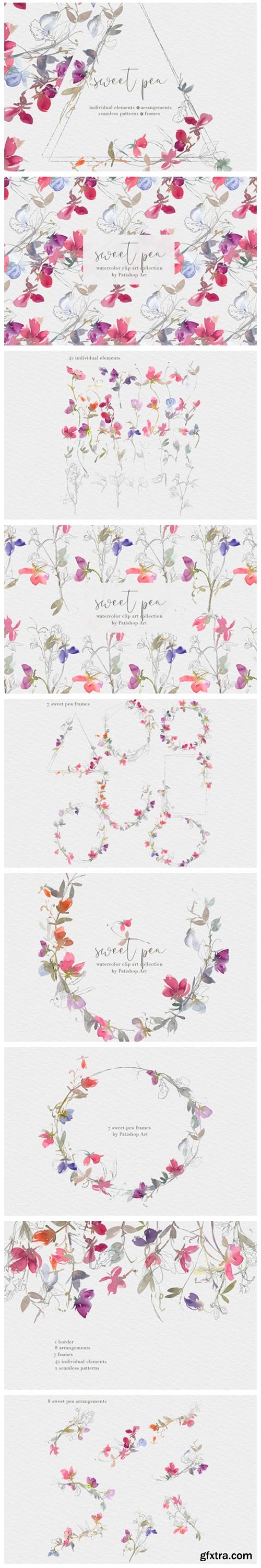 Watercolor Sweet Pea Clipart Collection 4030057