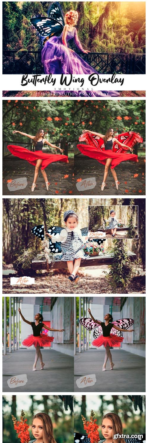 57 Colorful Butterfly Wing Overlays 4090544 57 Colorful Butterfly Wing Overlays 4090544