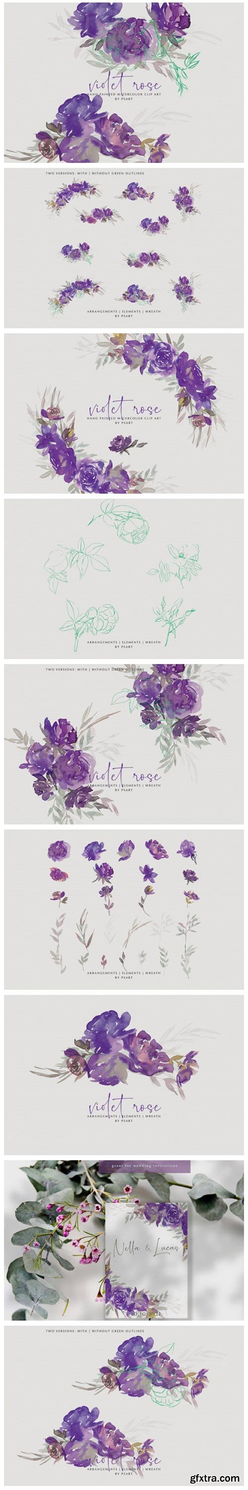 Watercolor Violet Rose Clipart Collection 4086622