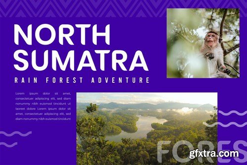 NOMA Sans Serif Font