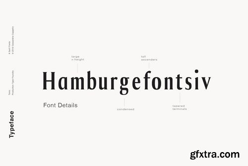 Tonic - Luxurious Serif Typeface