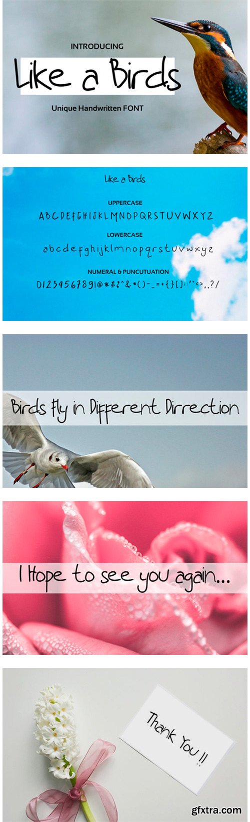 Like a Birds Font