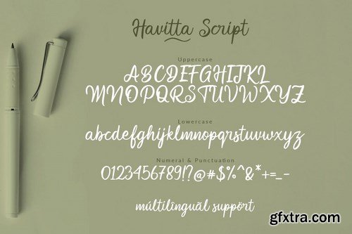 Havitta - Handwritten Script