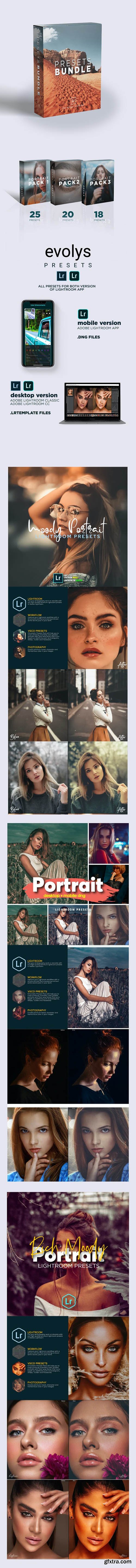 GraphicRiver - Premium Portrait Lightroom Bundle For Mobile and Desktop Lightroom 26535625 GraphicRiver - Premium Portrait Lightroom Bundle For Mobile and Desktop Lightroom 26535625