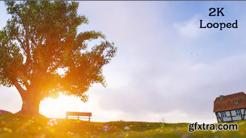 image_preview image_preview