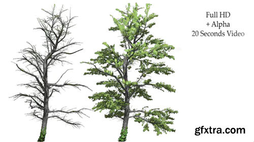 image_preview image_preview