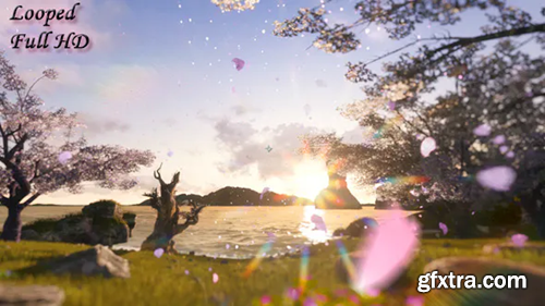 image_preview image_preview