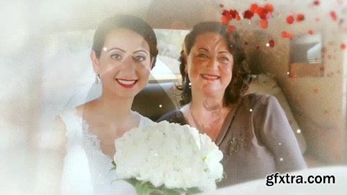 f-137514-0401 f-137514-0401