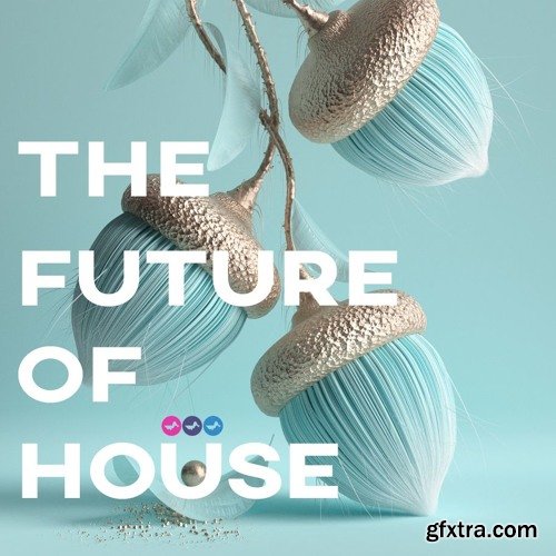 Soundsmiths The Future Of House WAV XFER RECORDS SERUM-DISCOVER