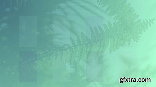 f-213958-0005 f-213958-0005