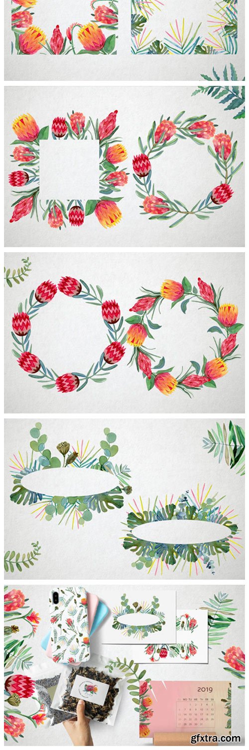 Watercolor Protea Frames and Wreath 4224481 Watercolor Protea Frames and Wreath 4224481