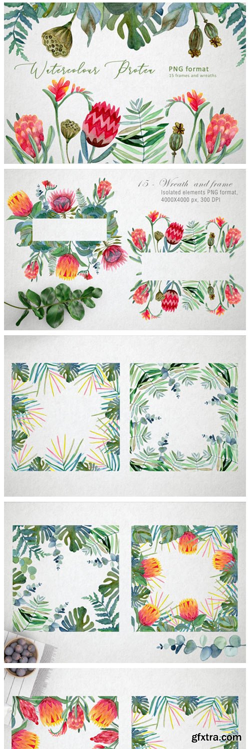Watercolor Protea Frames and Wreath 4224481 Watercolor Protea Frames and Wreath 4224481