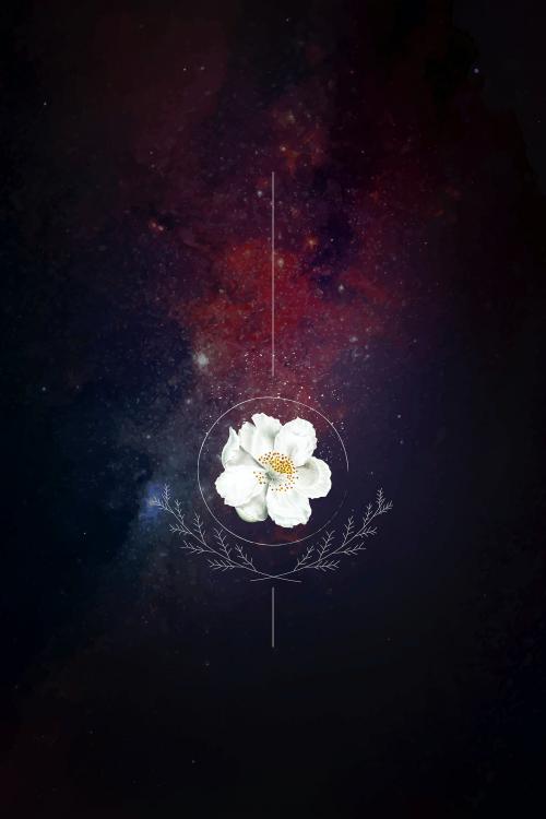 Musk rose on a galaxy background vector - 1227233