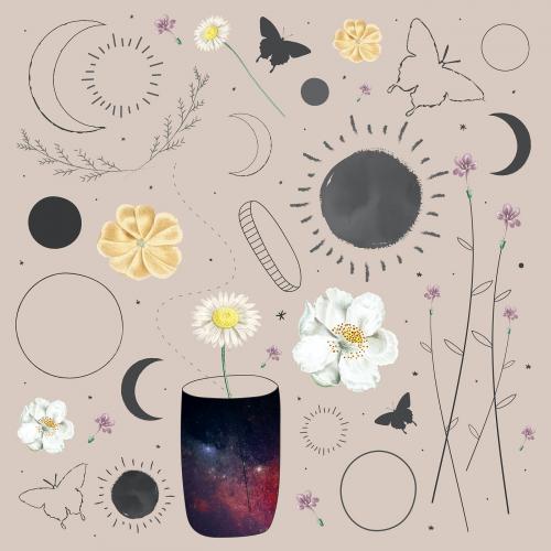 Floral and astronomical element collection design vector - 1227240