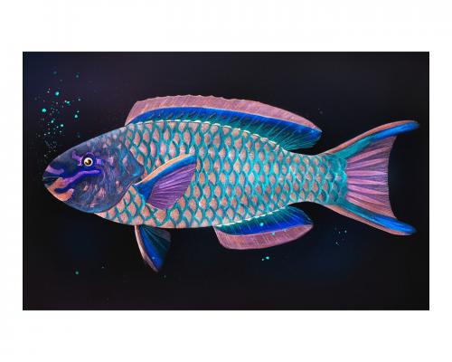 Queen parrotfish vintage wall art print poster design remix from original artwork. - 2272781