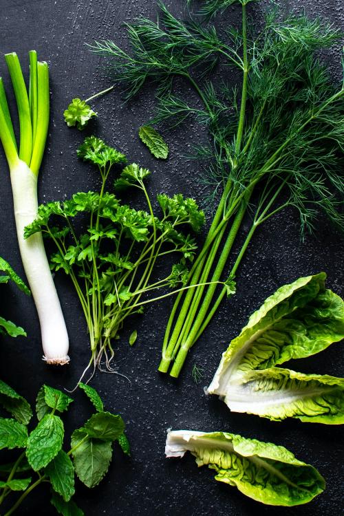 Mixed green fresh organic herbs and salads flatlay - 2281588
