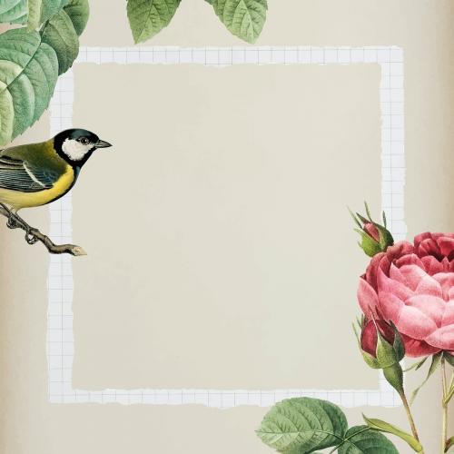 Sparkling rosebush and yellow great tit bird with a white frame on beige background vector - 1217342