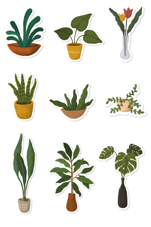 Indoor plants sticker collection - 2023342