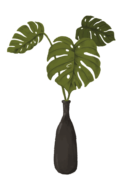 Swiss cheese plant in a vase sticker - 2023352