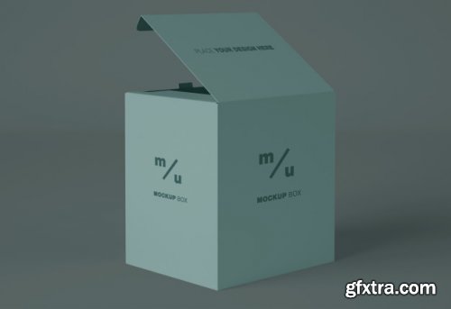 Box packaging mockup 2