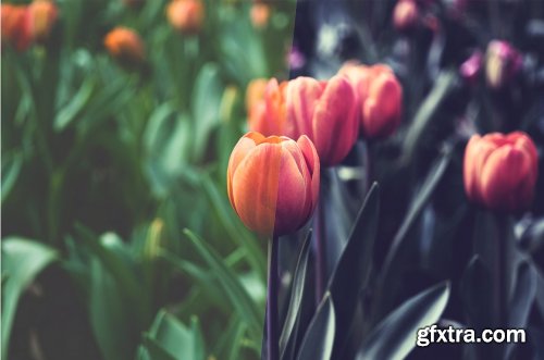 CreativeMarket - 40 Modern Photoshop Actions 1 4642311