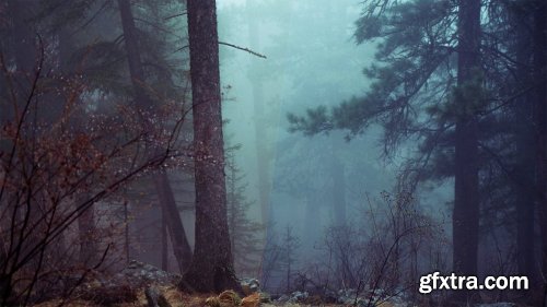 CreativeMarket - 40 Modern Photoshop Actions 1 4642311