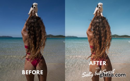 Explorerssaurus - The Essential Collection II Desktop Presets