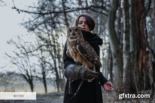 CreativeMarket - White Smoke Overlays Photoshop 4949072