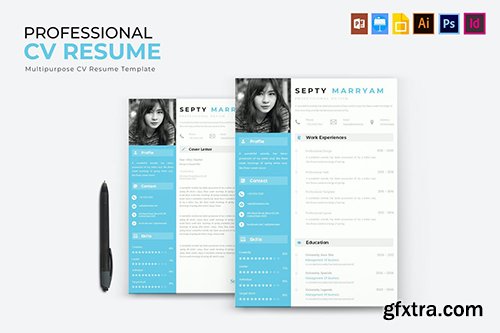 Professioal | CV & Resume
