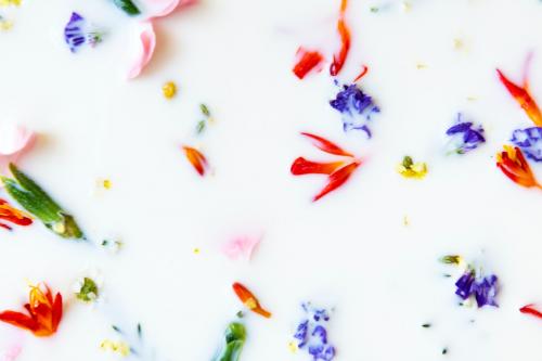 Colorful spring flowers in a milk bath - 2279871