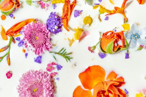 Colorful summer flowers in a milk bath background - 2293671