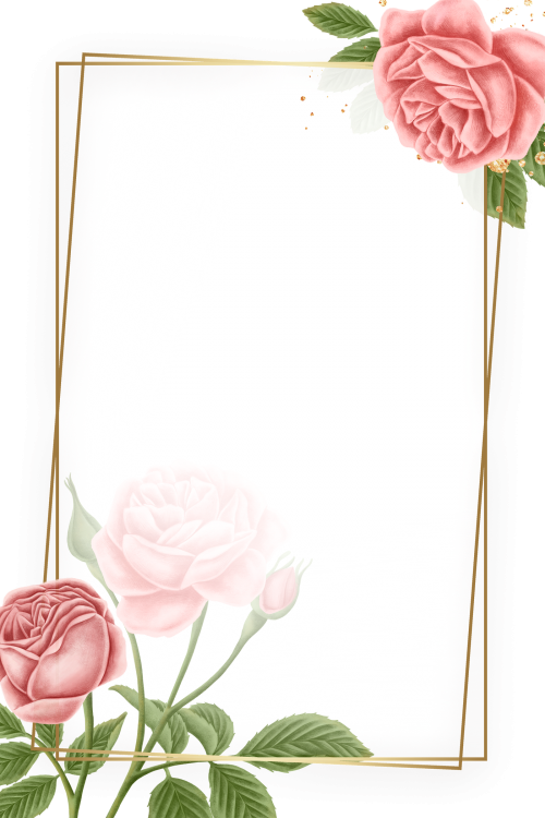 Red rose frame transparent png - 2221563