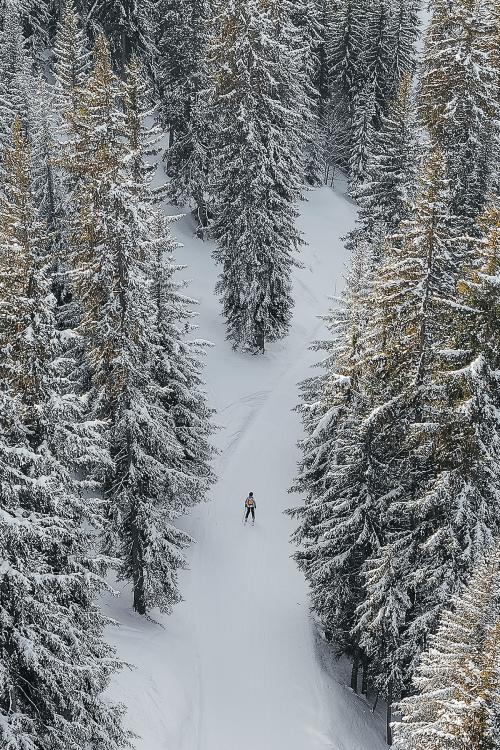 Traveler skiing through the mountain in Verbier, Switzerland - 2255015