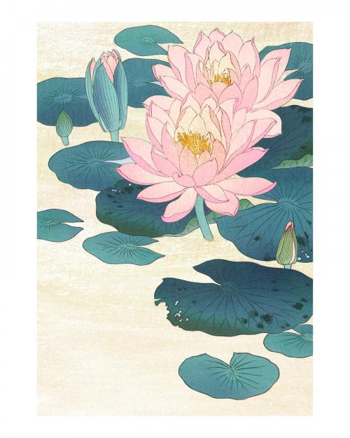 Water lily vintage wall art print poster design remix from original artwork by Ohara Koson. - 2273366