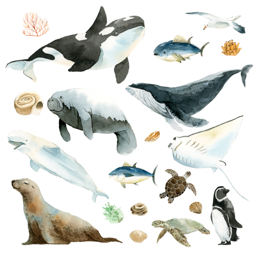 Watercolor painted aquatic animals collection transparent png - 2098347