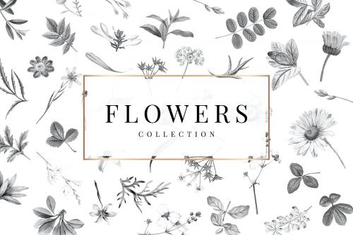 Flowers collection on a white background vector - 1201148