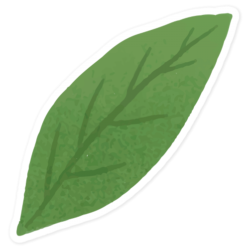 Green leaf sticker transparent png - 2030593