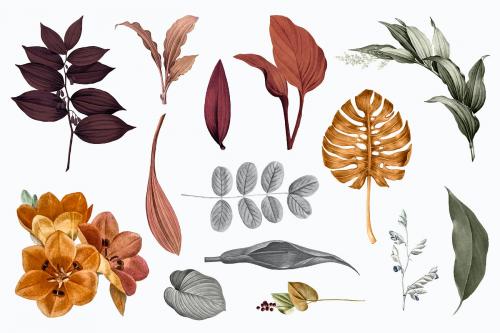 Tropical leaves collection vector set - 1200157