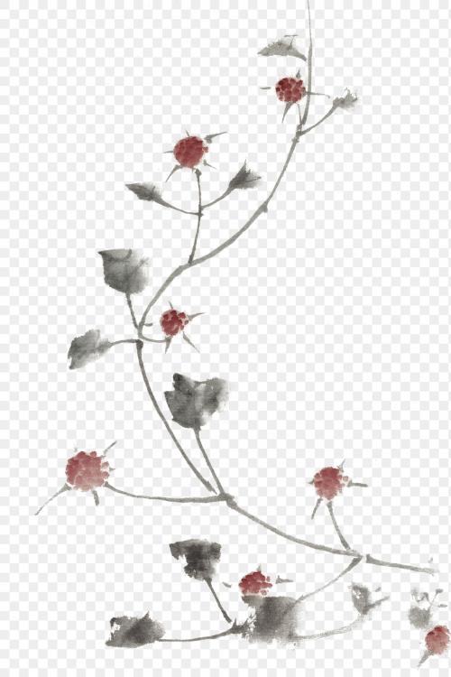 Red blossoms vintage illustration transparent png, remix of original painting by Hokusai. - 2266867